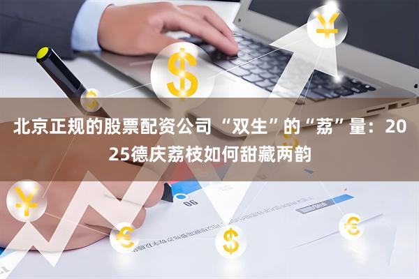 北京正规的股票配资公司 “双生”的“荔”量:2025德庆荔枝如何甜藏两韵