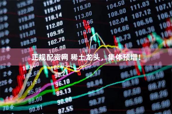 正规配资网 稀土龙头，集体预增！